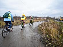 Порядка 50 несанкционированных свалок ликвидировали активисты «Зеленого спаса» в Вологде