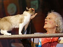 Куклачев: я опроверг эгоизм кошек уже давно