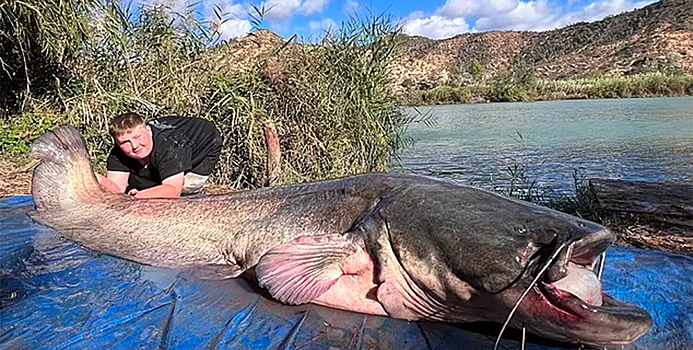 Fish whopper: 646 pounds a freshwater record