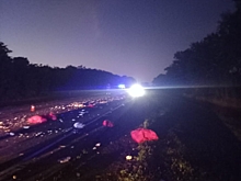 Два грузовика столкнулись под Курском