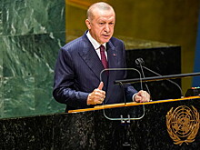 Цеков ответил пословицей о халве на слова Эрдогана о Крыме
