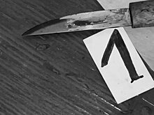 Мать с 11-летним сыном убиты в Якутске