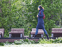 Москвичей ждёт ещё одна холодная ночь