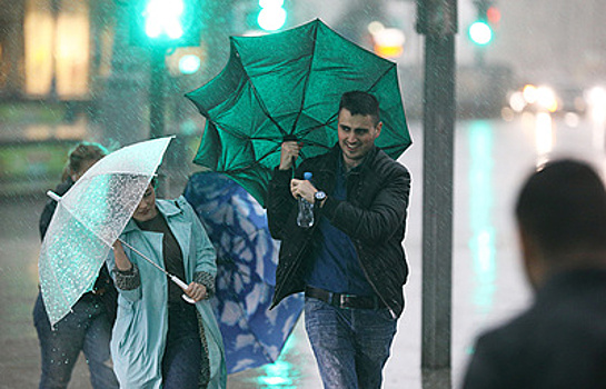 Гроза и порывистый ветер ожидаются в Москве 30 апреля