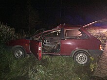 В Тверской области водитель пострадал в ДТП с лосем