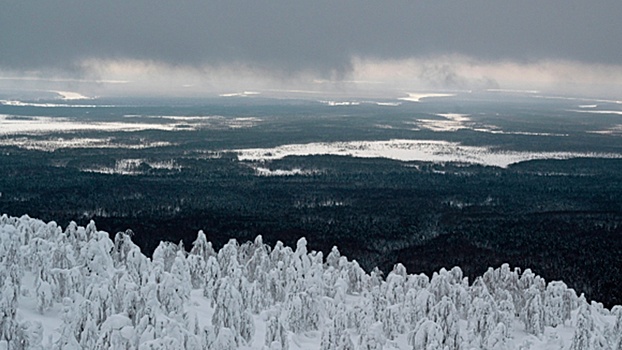 Трое из пяти пропавших туристов найдены в Пермском крае
