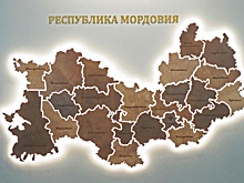 В Мордовии определили якорных резидентов особой экономической зоны "Система"