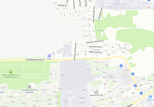 Ростовчане попросили обустроить пешеходный переход на пересечении Берберовской и Златоусовской