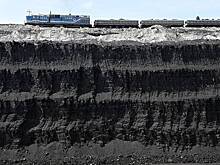 Один из главных импортеров российского угля резко увеличил его закупки