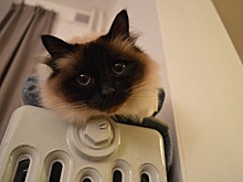 В Нижнем Новгороде полным ходом идет подготовка к отопительному сезону