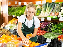 Где могут работать подростки во время каникул