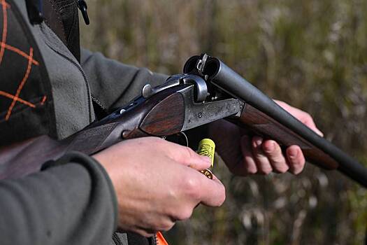 В десятках российских заповедников выявили нарушения