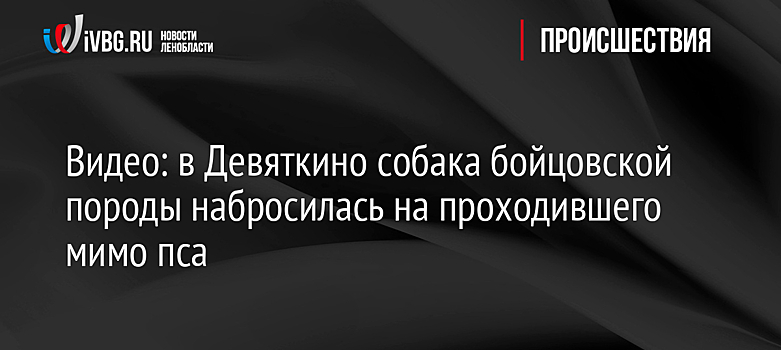 Видео: в Девяткино собака бойцовской породы набросилась на проходившего мимо пса