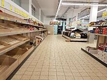 Стафилококк, кишечная палочка, плесень. Чем кормят воронежцев магазины