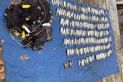 Вологодского рыбака оштрафуют на полмиллиона за ловлю двумя сетями