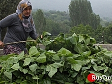 Село Гюнберен в Биледжике станет туристическим объектом