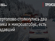 Под Светогорском столкнулись два грузовика и микроавтобус, есть пострадавший
