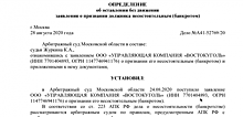 Угольные активы группы «Аллтек»: «Востокуголь» подал на банкротство