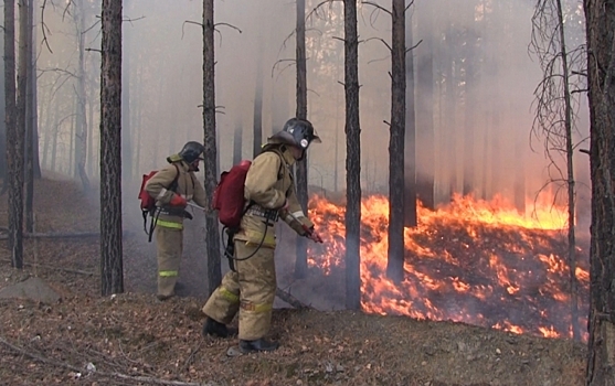 Синоптики рассказали, в каких регионах России дожди потушат лесные пожары