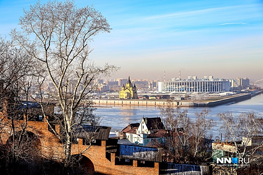 «Аренный кластер». Нижегородцы предлагают поставить на Стрелке рядом со стадионом цирк