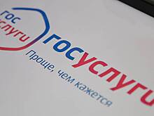 Оплата проезда по ЦКАД, М12 и А289 через госуслуги приостановлена из-за техработ
