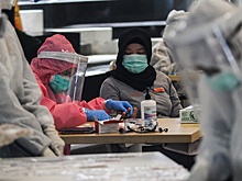 В Индии зафиксирована вспышка смертельного вируса Нипах: что нужно знать российским туристам