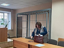 Экс-главу «Экологии-Новосибирск» снова обязали выплатить миллионные убытки
