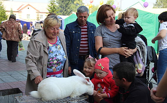 Крольчиху весом 9 килограммов показали на ярмарке в Черепаново