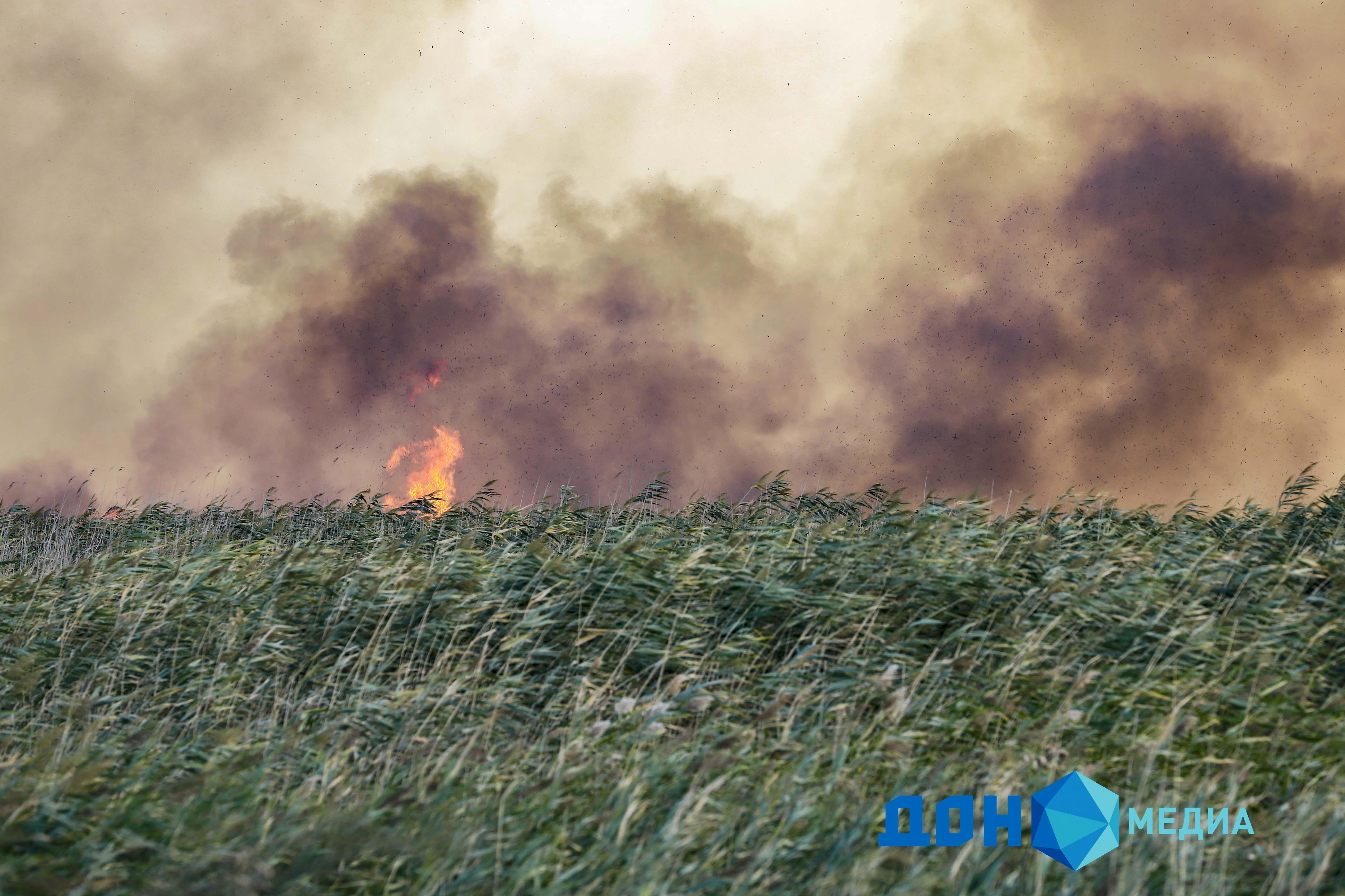 В Ростовской области в пять с половиной раз увеличилось количество ландшафтных пожаров