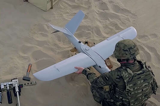 Литва закупит у Польши дронов-камикадзе Warmate для ВСУ