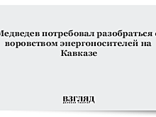 Медведев потребовал наказать виновных в воровстве энергоносителей на Кавказе