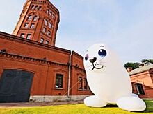 В Петербурге у водонапорной башки появилась огромная нерпа