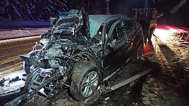 Прокуратура просит признать водителя «БМВ», вылетевшего на полосу встречного движения, виновным в гибели четырех человек