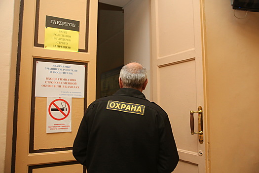 Депутат Колунов предложил лицензировать фирмы, охраняющие школы