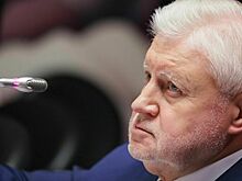 Депутат Миронов призвал проиндексировать зарплаты учителей в двойном размере