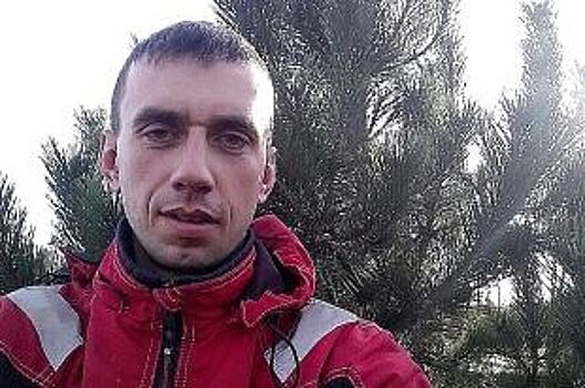 Упругая и смолянистая. Эксперт о том, как правильно выбрать новогоднюю ёлку