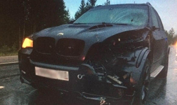 На автодороге Сургут - Салехард в аварии погиб пешеход