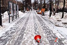 Жители Екатеринбурга стали активнее голосовать за объекты благоустройства после призыва мэра
