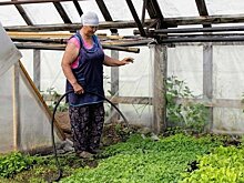 В Екатеринбурге спрос на услугу по «вспашке земли» вырос на 120%