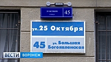 В центре Воронежа появились домовые указатели с подсветкой