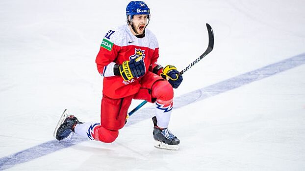 Чешский хоккеист оценил отсутствие сборной России на ЧМ в 2022 году