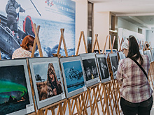 Русско-китайская ярмарка культуры и искусства: опубликована программа мероприятий