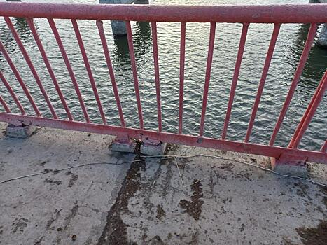 Браконьеры напали на инспектора в Челябинской области