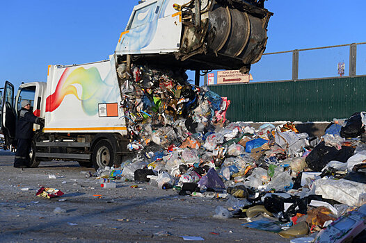 Минприроды: Тарифы на вывоз мусора не вырастут