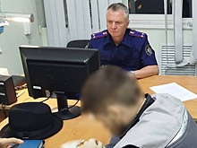 Житель Ульяновска, подозреваемый в убийстве жены и дочерей, признал вину