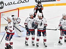 Эксперт отметил лидерство Нижнекамска среди городов России по числу игроков КХЛ на 100 тыс. населения