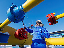 В ЕС оценили возможность заместить поставки газа из России