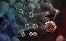 Наночастицы и иммунотерапия убили раковые клетки