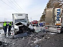 В массовой аварии с фурами пятеро пострадали, один погиб