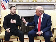 «Не мог поверить глазам и ушам»: Песков о перепалке Трампа и Зеленского